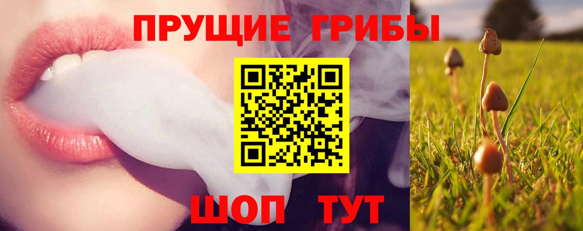 Галлюциногенные грибы мицелий Кондопога