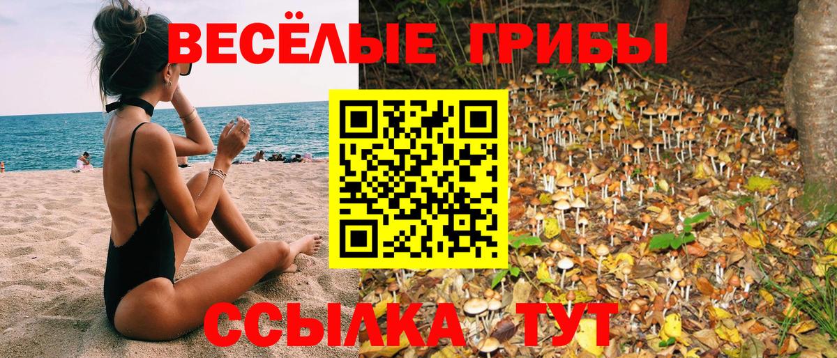 Кондопога  Галлюциногенные грибы Psilocybine cubensis  даркнет сайт  Вход с VPN 